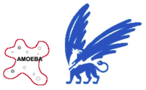 Amoeba Operating System