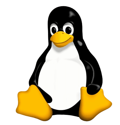 Linux Kernel