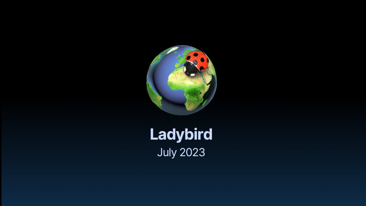Chrome-Based Browsers Ladybird